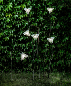 Alternative view of Ph21 by Zava